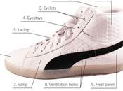 Anatomy Basketball Shoe