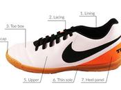 Anatomy Indoor Soccer Shoe