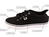 Anatomy Skate Shoe
