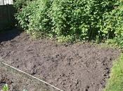 Significant Milestones