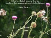 Born Again? What About Father Drawing