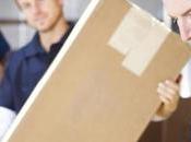 Landlord’s Property Damaged Professional Mover