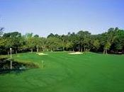 Myrtle Beach Golf Courses Which Favor Accuracy Over Driver