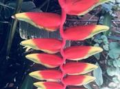 DAILY PHOTO: Flowers Rangoli Metro Center