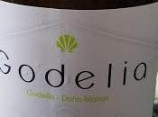 Exploring Godello Dona Blanca Grape with Godelia