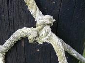 Mailbag: People Commit Suicide Hell?