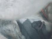 Then There #TheGerbilDiaries