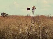 Wind Blows Where Will