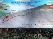 Hiking Hallasan Yeongsil Eorimok Trails