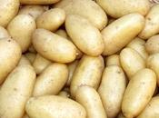 First Early Potato "Juliette"