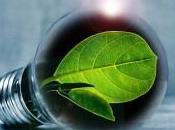 Making Your Business Eco-Friendly