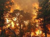 Floods, Fires Scorching Heat World Over Presently