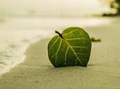 Green Save Your Summer Energy Bill (and Year-round) with These Tips