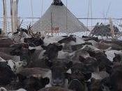 Nenets Siberia