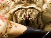 Monster Tasmanian King Crab