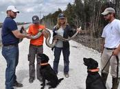 Dogs Sniff Snakes Rather Than Bombs