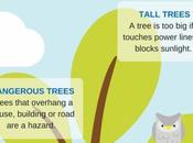 Signs That Need Call Tree Services Company