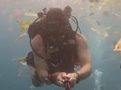 With This Plastic Oceans...