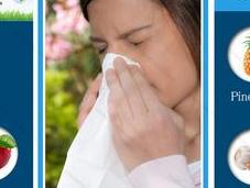Superfoods That Fight Allergy