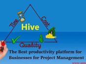 Hive Review: Best Productivity Platform Businesses Project Management
