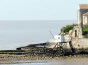 Gironde Estuary Cycle Tour 2/4: Mirambeau Royan