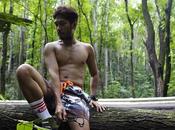 What Expect Bohol's Man-Made Forest