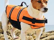 Tips Finding Best Life Jacket Your