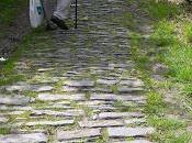 Francis, "the Left," Right": Where Stand Don't Have Luxury Pretending That Hitler's Plans Jews Just Minor Facet Agenda