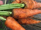 Carrot Every Reason...