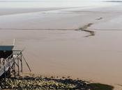 Gironde Estuary Cycle Tour 3/4: Royan Saint-Seurin-de-Cadourne