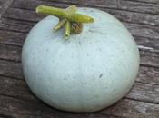 First Crown Prince Squash