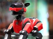 Business Realities Temper Invention Excitement