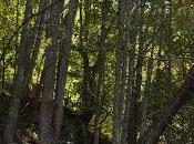 Here There September