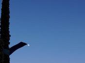 Friday Fotos: Contact Dialectic (sky)