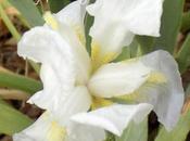 Real Talk Upcoming Posts