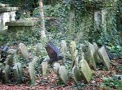 Abney Park Cemetery