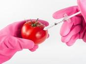 Pros Cons Genetically Modified Organisms (GMOs)