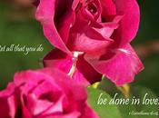 Jesus's Pain, Love, Priesthood