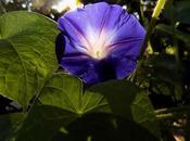 Can't They She's False Teacher? Reason: "Deception Investment"