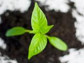 Genius Ways Make Your Office More Environmentally Friendly