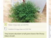 Gardening Landscaping Apps Download