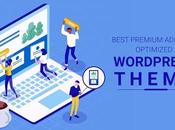 Check These Brilliant AdSense Optimized WordPress Themes Today!
