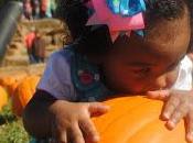 October 26th Is... (Includes Printable Freebies)