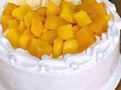 Mango Mousse Cake