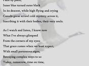 Post-(U.S.) Election Poem