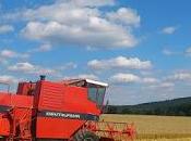 FREEBIE: 1,001 Holiday Freebies