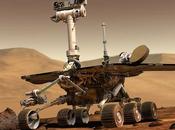 November 28th Freebies!