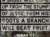 Thirty Days Jesus Redux: