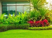 Choose Best Gardening Service