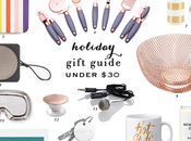 Holiday Gift Guide Under
